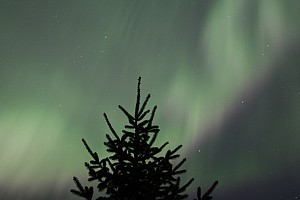 Original photo from Paradise Ridge Resort taken by professional photographer Mike Kramer.