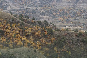 Original photo from Paradise Ridge Resort taken by professional photographer Mike Kramer.
