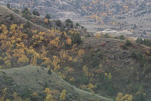 Original photo from Paradise Ridge Resort taken by professional photographer Mike Kramer.