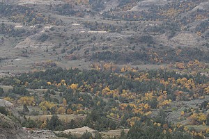 Original photo from Paradise Ridge Resort taken by professional photographer Mike Kramer.