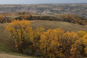 Original photo from Paradise Ridge Resort taken by professional photographer Mike Kramer.