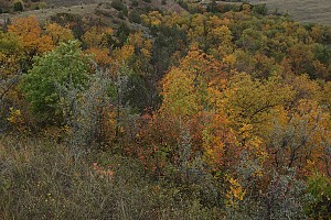 Original photo from Paradise Ridge Resort taken by professional photographer Mike Kramer.