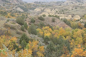 Original photo from Paradise Ridge Resort taken by professional photographer Mike Kramer.