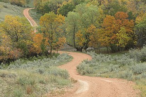 Original photo from Paradise Ridge Resort taken by professional photographer Mike Kramer.