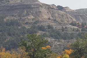Original photo from Paradise Ridge Resort taken by professional photographer Mike Kramer.