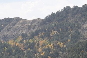 Original photo from Paradise Ridge Resort taken by professional photographer Mike Kramer.