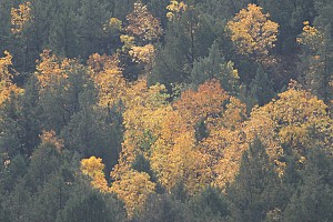 Original photo from Paradise Ridge Resort taken by professional photographer Mike Kramer.
