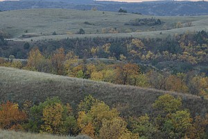 Original photo from Paradise Ridge Resort taken by professional photographer Mike Kramer.