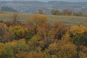 Original photo from Paradise Ridge Resort taken by professional photographer Mike Kramer.