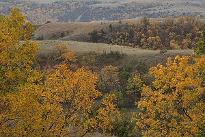 Original photo from Paradise Ridge Resort taken by professional photographer Mike Kramer.